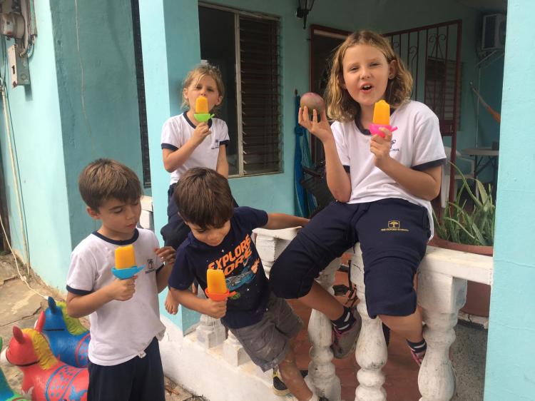 3aaa2c7e-6b7e-4ddb-b4c9-2508d22d6baa