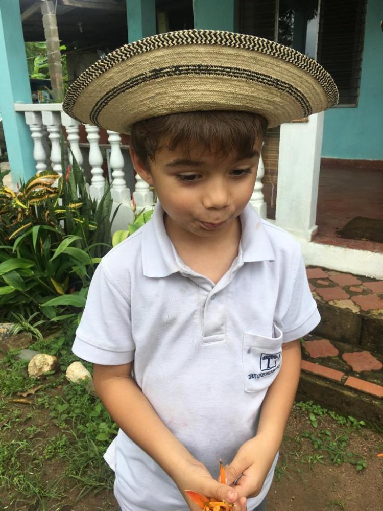 f9b50bc5-57e2-4fcb-ba84-ed39cf026bb1